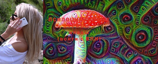 кокаин перу Вяземский
