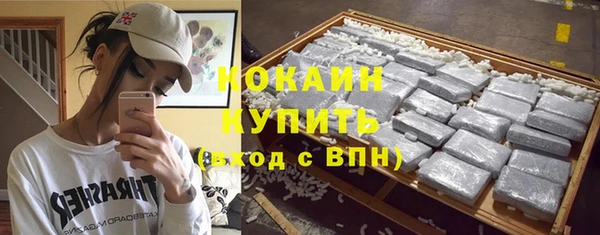 крисы Вязьма
