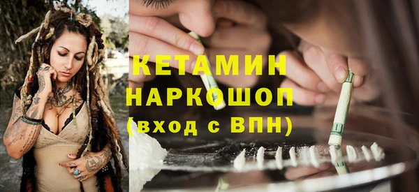 крисы Вязьма