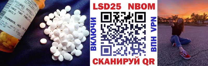 Купить где  Хилок  LSD-25 экстази кислота 