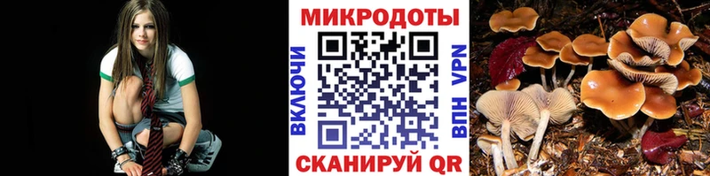 Купить закладки  Хилок  Псилоцибиновые грибы прущие грибы 
